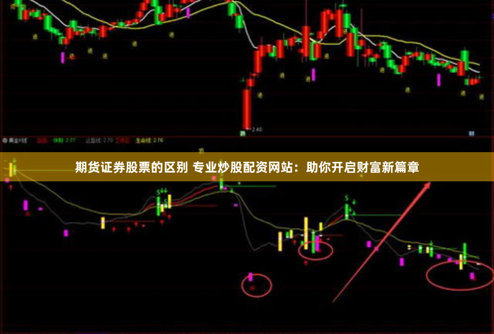 期货证券股票的区别 专业炒股配资网站：助你开启财富新篇章