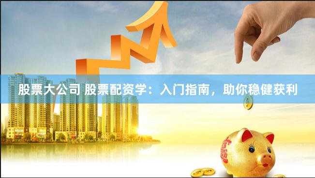 股票大公司 股票配资学：入门指南，助你稳健获利