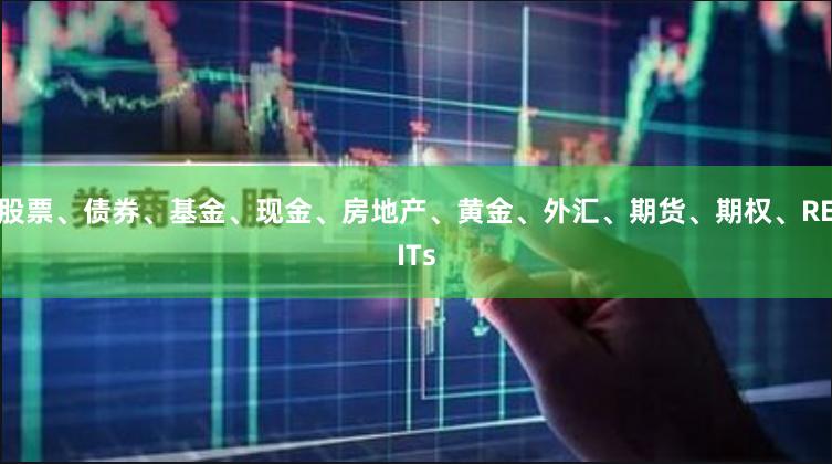 股票、债券、基金、现金、房地产、黄金、外汇、期货、期权、REITs
